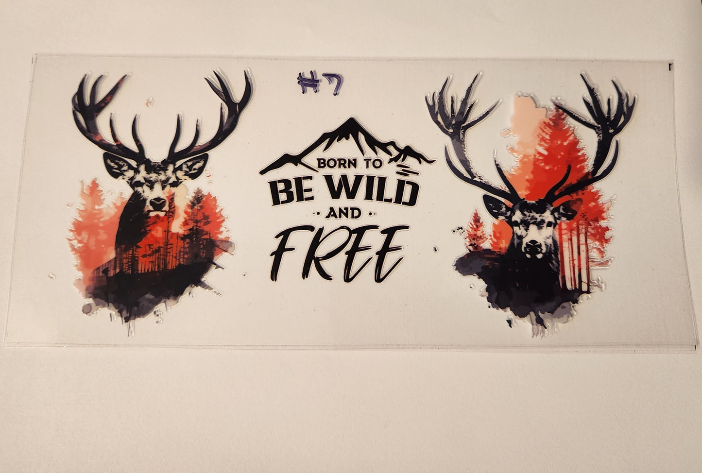 Wildlife & Animals Wraps