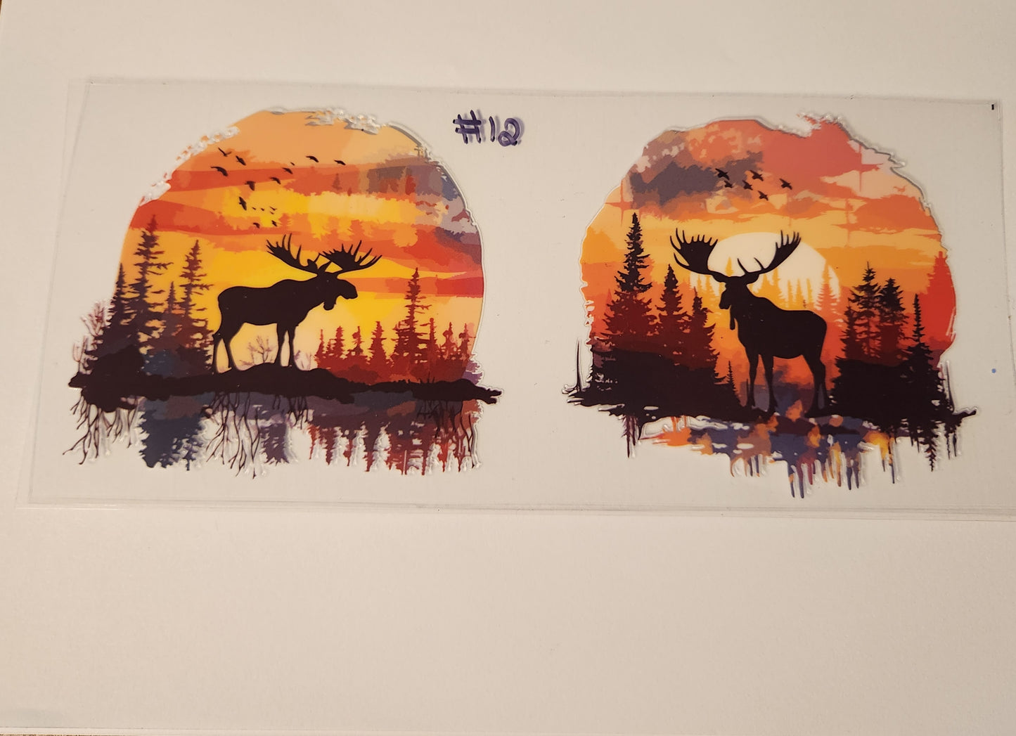 Wildlife & Animals Wraps