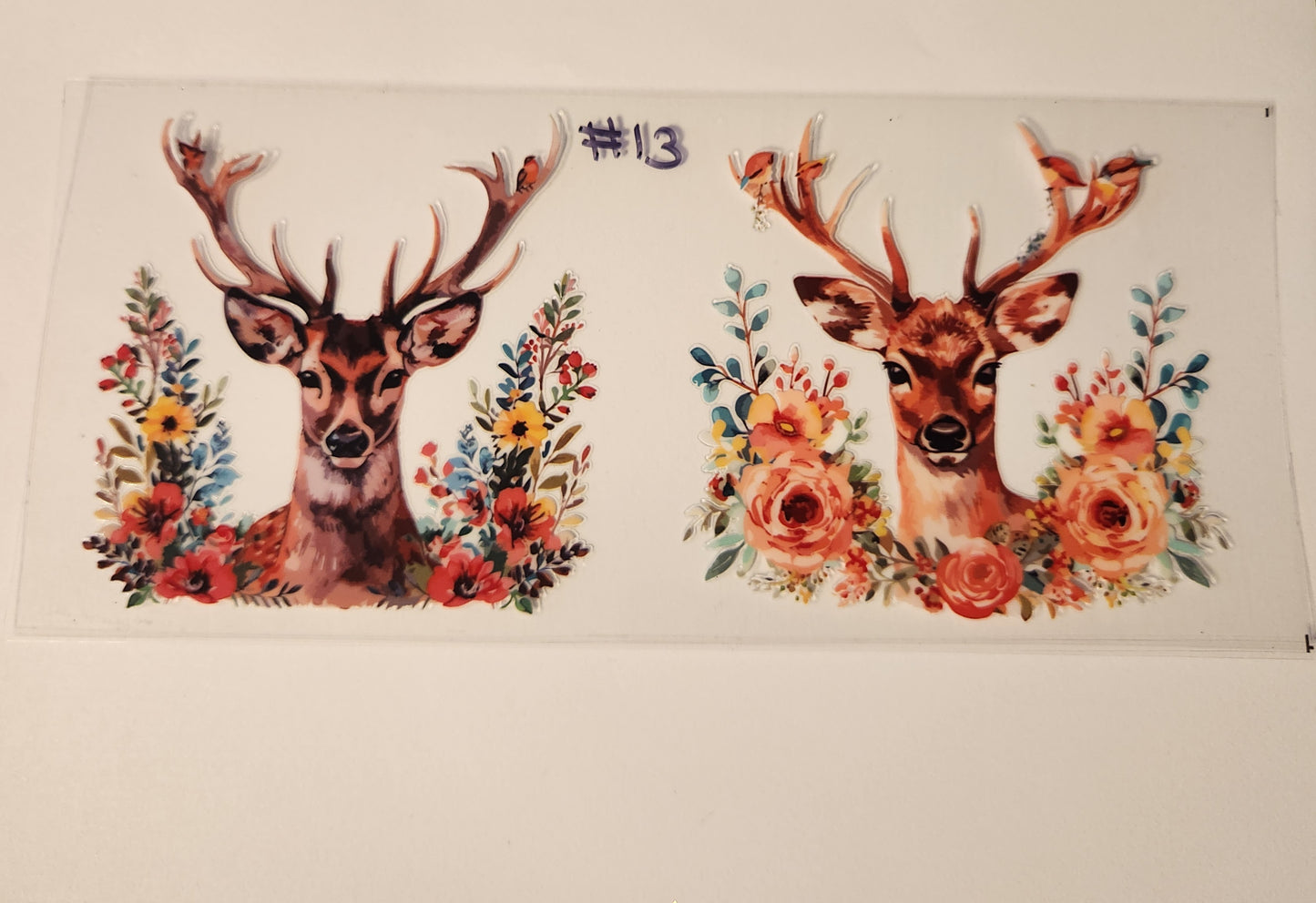 Wildlife & Animals Wraps