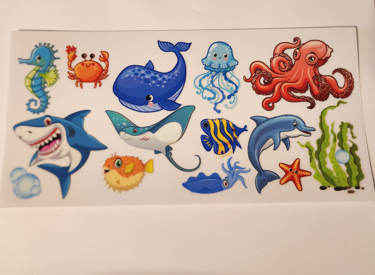 Ocean Life Wraps