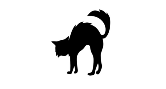 Black Cat Halloween Pen